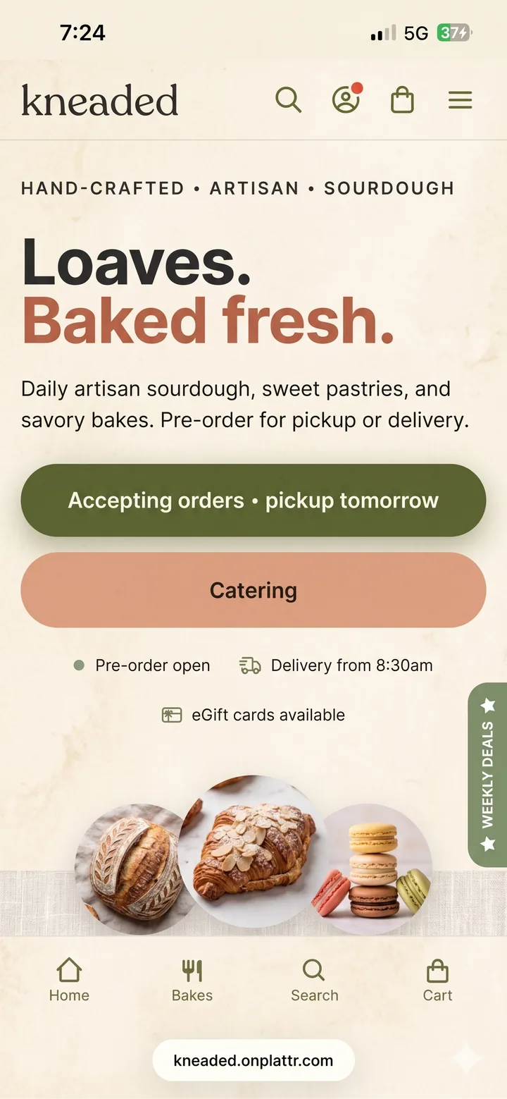Plattr storefront preview