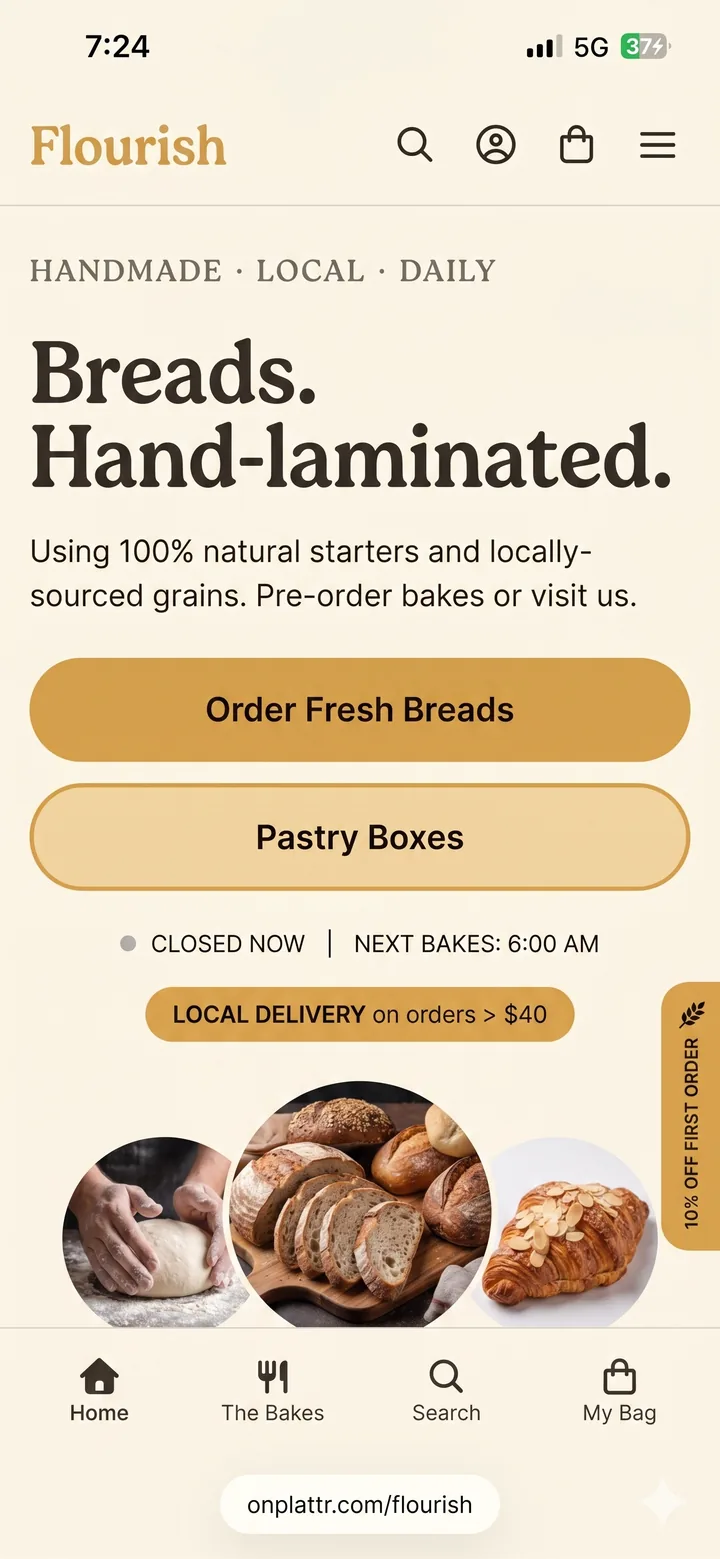 Plattr storefront preview