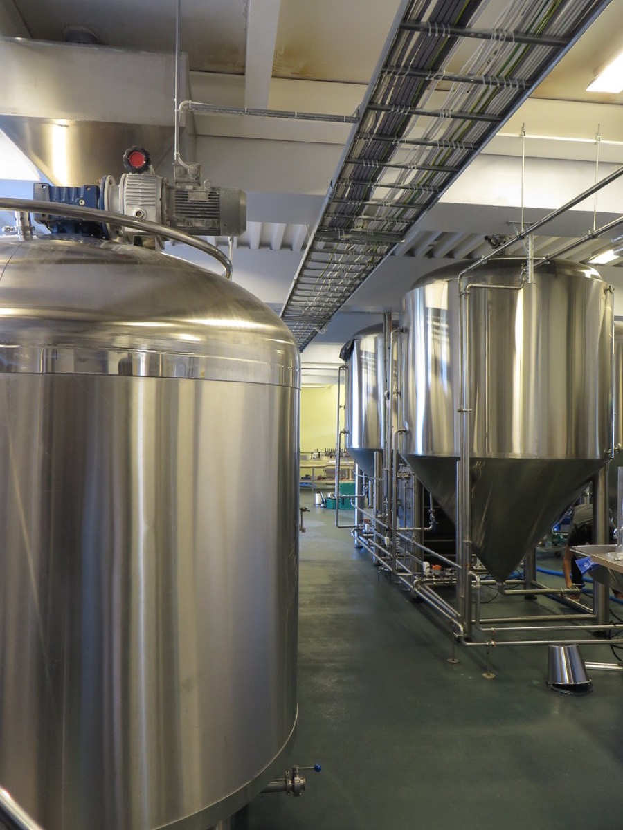 A row of tall, polished stainless steel conical fermentation tanks in a clean industrial brewhouse.