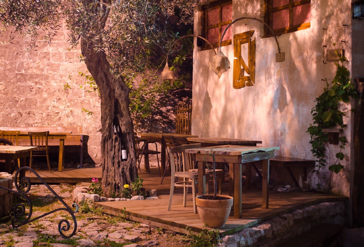 A row of empty wooden tables and chairs on a shaded outdoor cafe deck beside an old olive tree, with no customers seated.