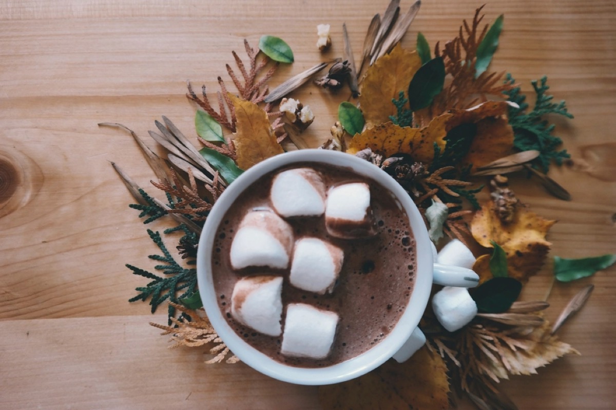 An overhead mug of hot chocolate topped with marshmallows, styled with autumn leaves and foliage on wood