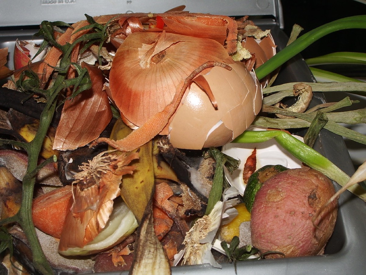 A close-up tray of kitchen food waste including onion skins, eggshells, spring onion tops, banana peel, and a potato.