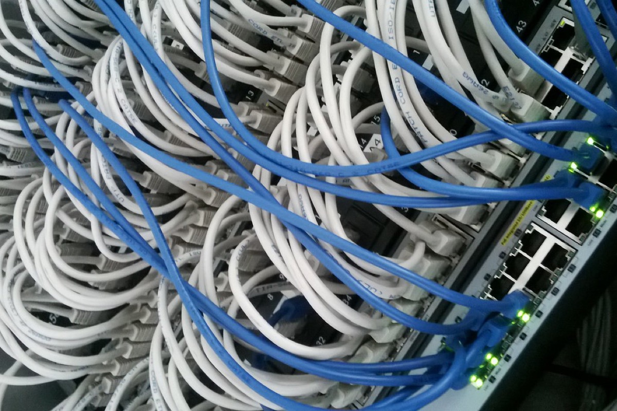 Close view of a network switch with dozens of white and blue ethernet patch cables plugged into its ports.
